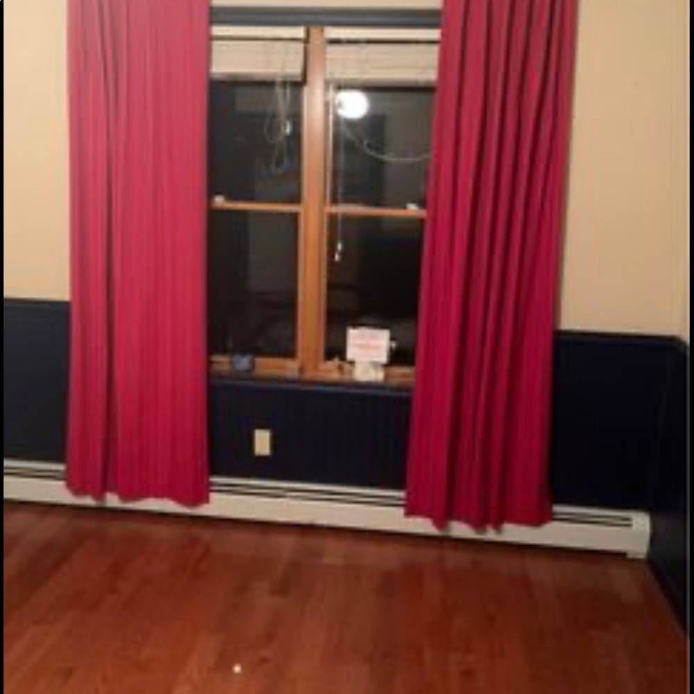 Pottery Barn Kids curtains 2 panels